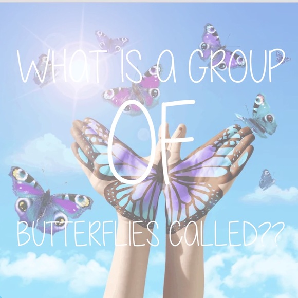 [COME BACK & ADD NEW BLUES!] My First Share Game - Picture 4 of 7